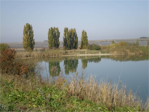 окрестности поселка