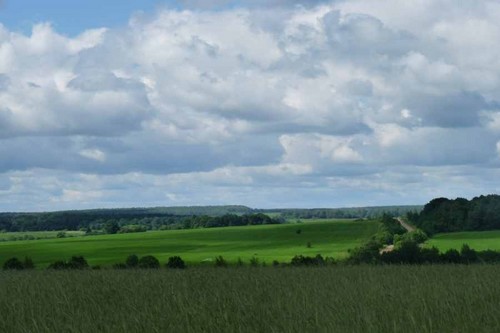 Красота рядом с нами