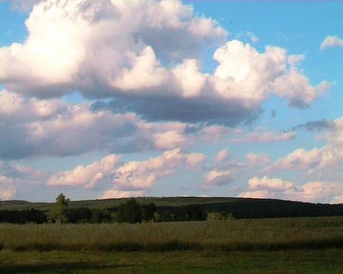 Перед дождем