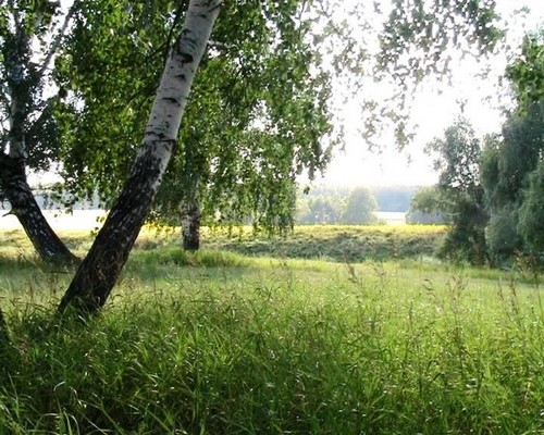 Утро