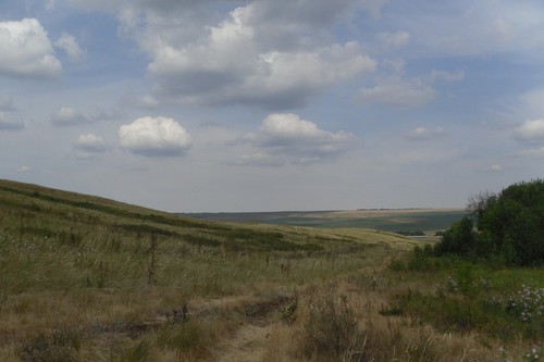 Степная дорога