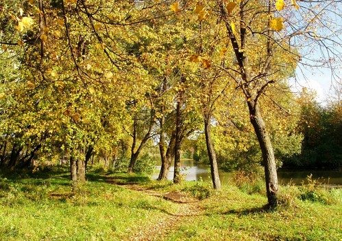Родные места