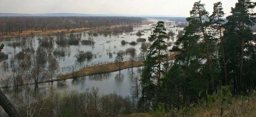 Весна в Решетихе