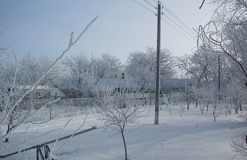 Первый снег