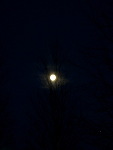 moon