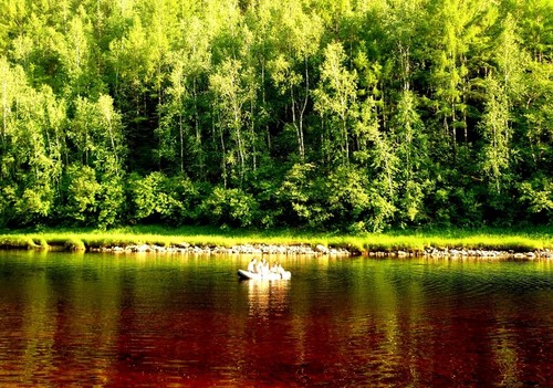 Северный край: родной и незабываемый