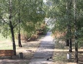 Дорожка