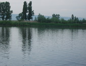 Великий Дон