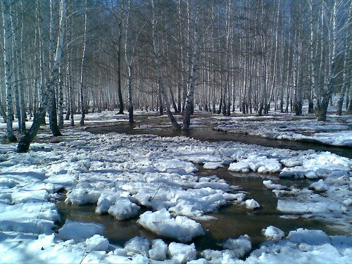 Весна в лесу