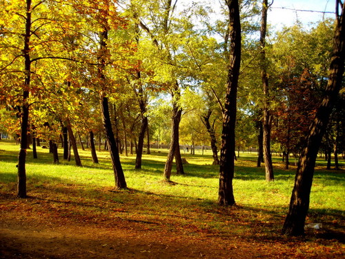Осень в парке..