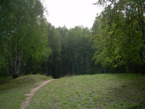 Лесное чудо