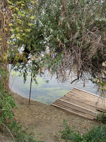 ДОНСКОЙ КРАЙ