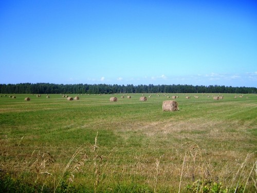 Жаркий день