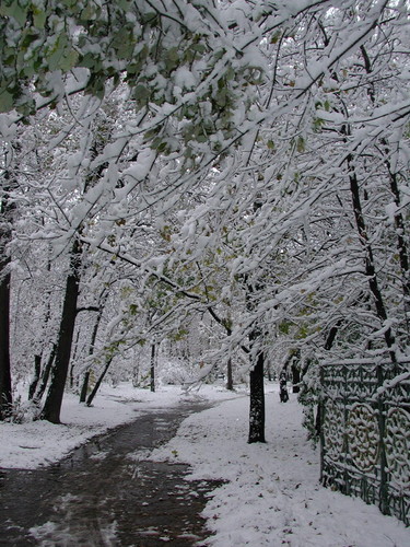 Моя Родина