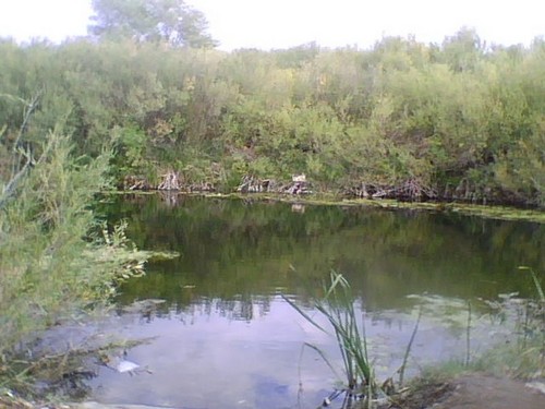 Река Джарлы