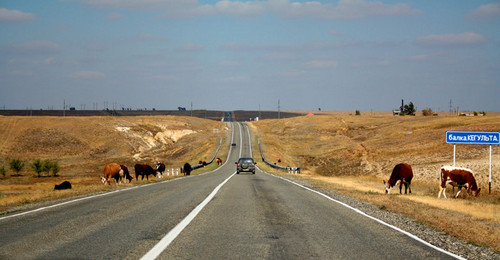 Дорога в степи
