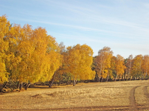 Золотая осень