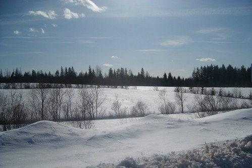Зимняя краса.