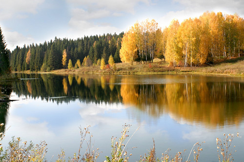 Любимая деревня