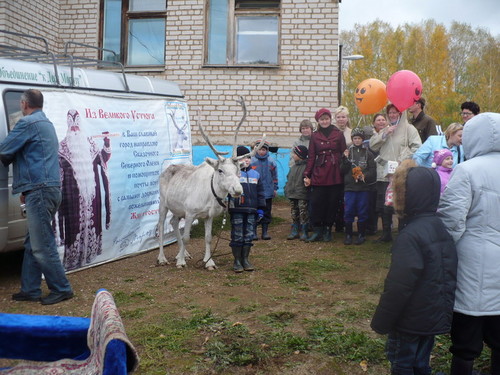 олень Деда Мороза
