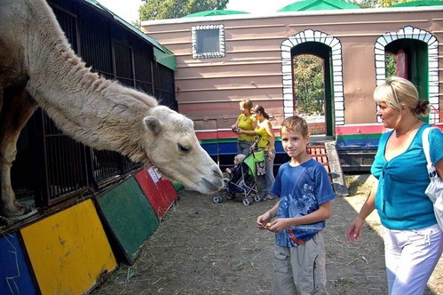 Угощаю