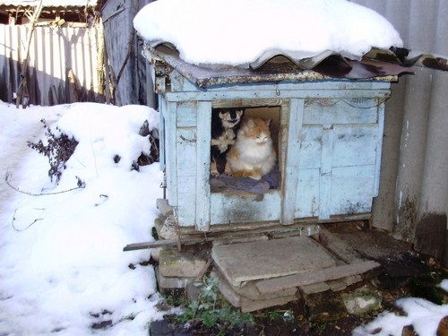 Дружба