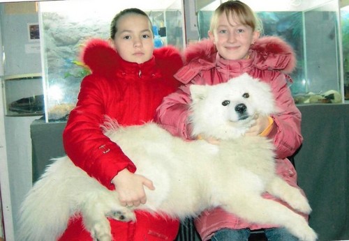 а волк то настоящий
