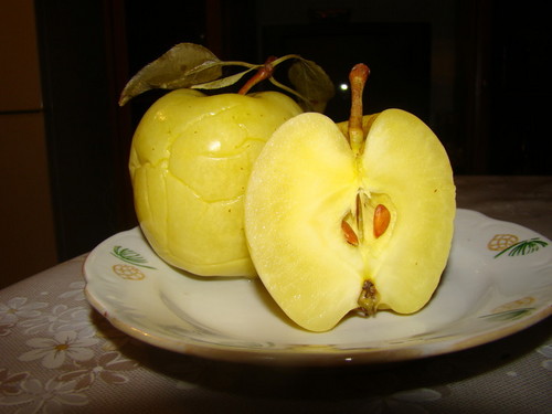 Плод Познания