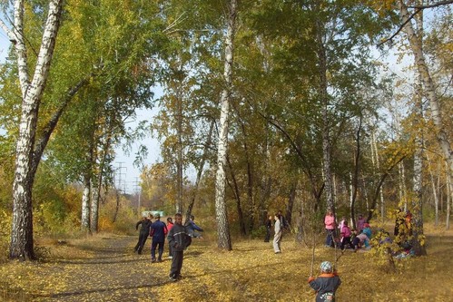 прогулка в осеннем парке