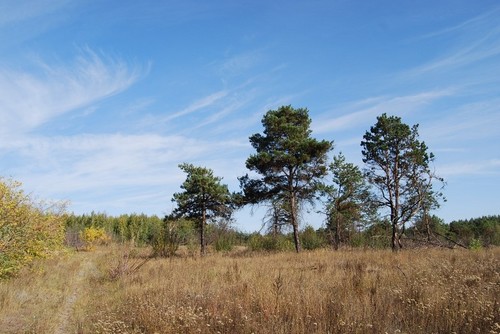 Осень