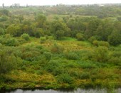 С горы