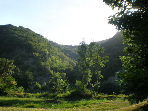 Ландшафт