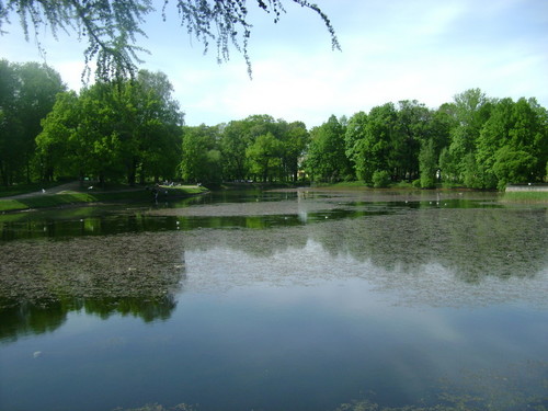 Краски лета.