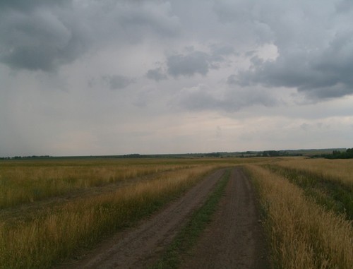 Перед грозой
