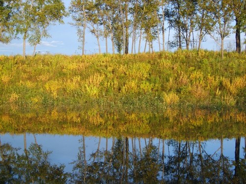 Осенние краски / краски осени.