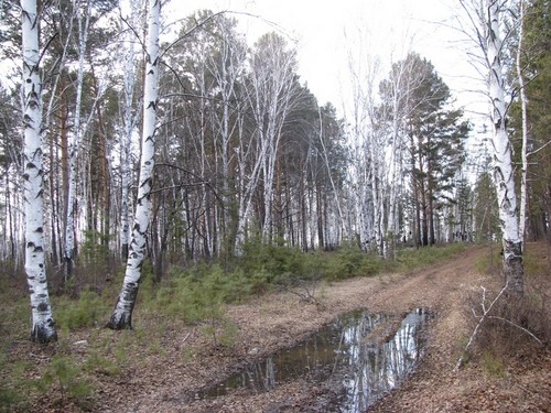 весна