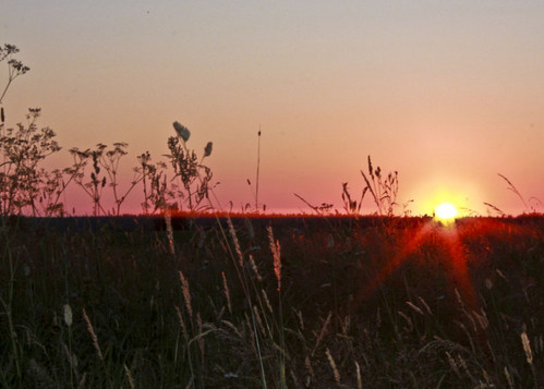 Природа, закат.