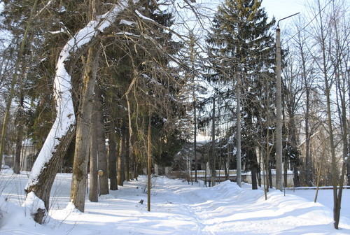 тропинка беляков