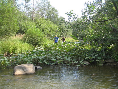 Река