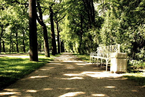прогулка