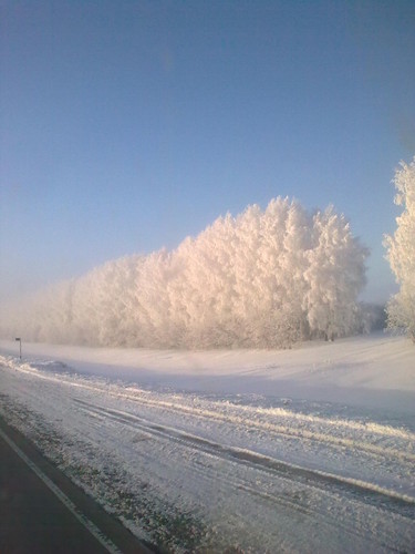 зима
