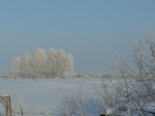 Ледяное царство