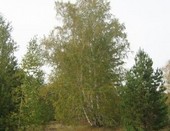 турбаза.юргамыш