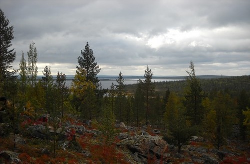 осень в заполярье