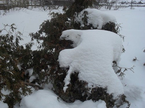 Снежное покрывало
