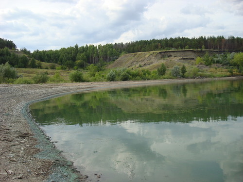 Река и Лес