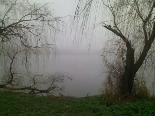 Утро в тумане