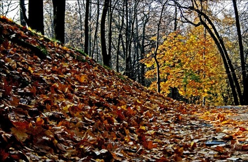 осень