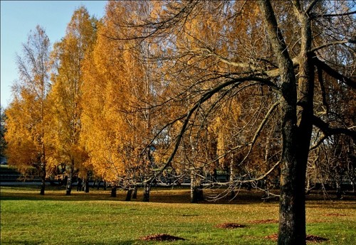 осень