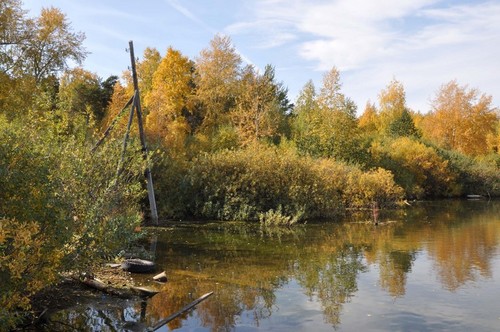 Осенний пейзаж